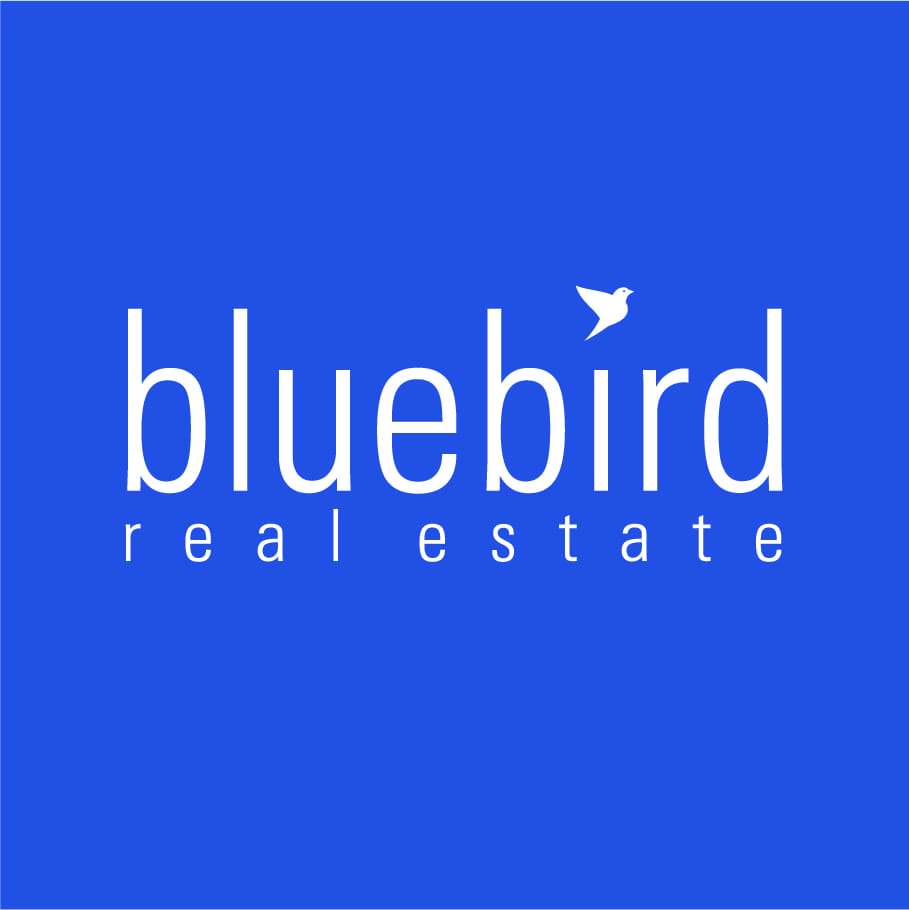 Bluebird