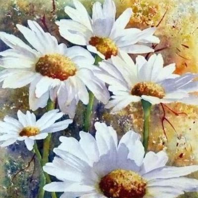 CB Daisies - Karen Hill - July 11, 2021 CB Daisies - Karen Hill - July 11, 2021