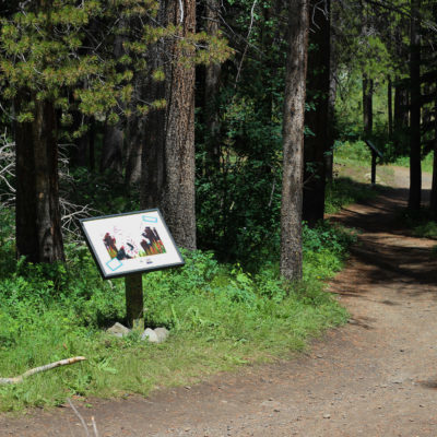 Story Walk _winding paths_Holly Harmon Story Walk _winding paths_Holly Harmon