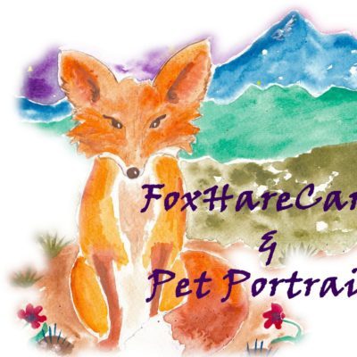 foxhare cards foxhare cards